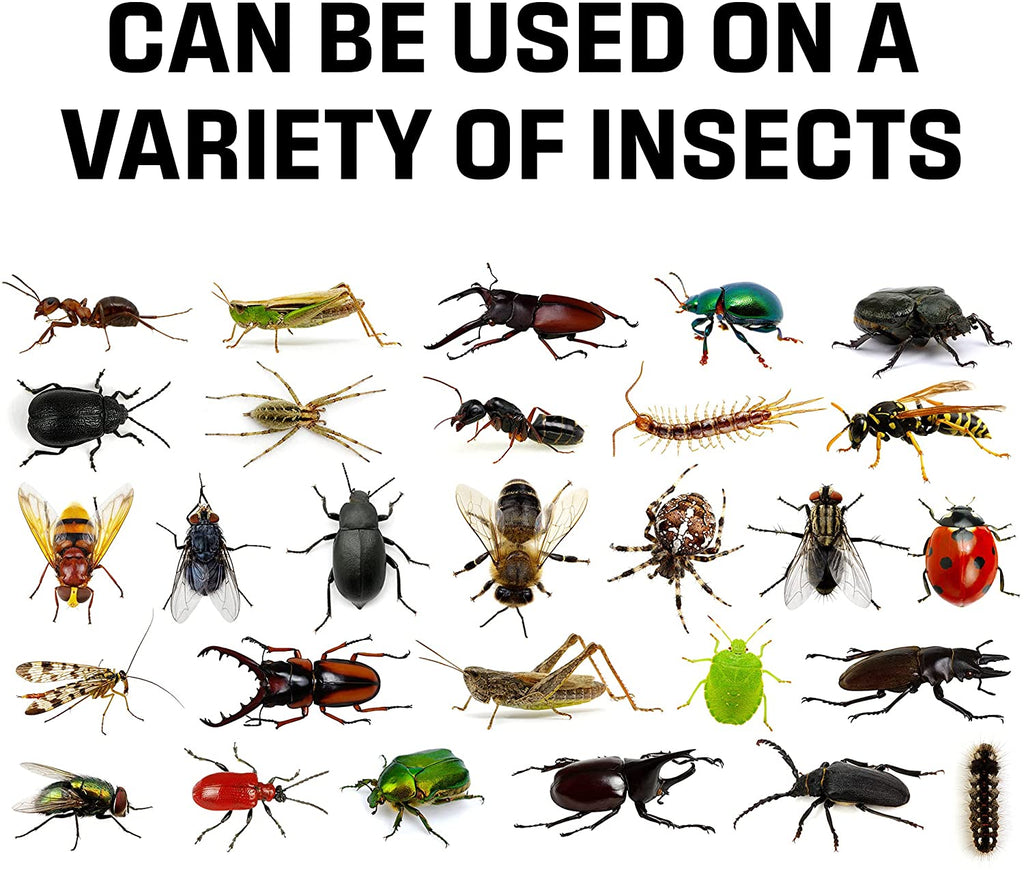 Exterminators Choice Anywhere Peel and Stick Glue Traps 10 Pack Ea